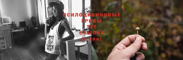 СК Анива